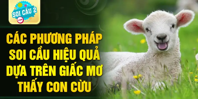 Các phương pháp soi cầu hiệu quả dựa trên giấc mơ thấy con cừu