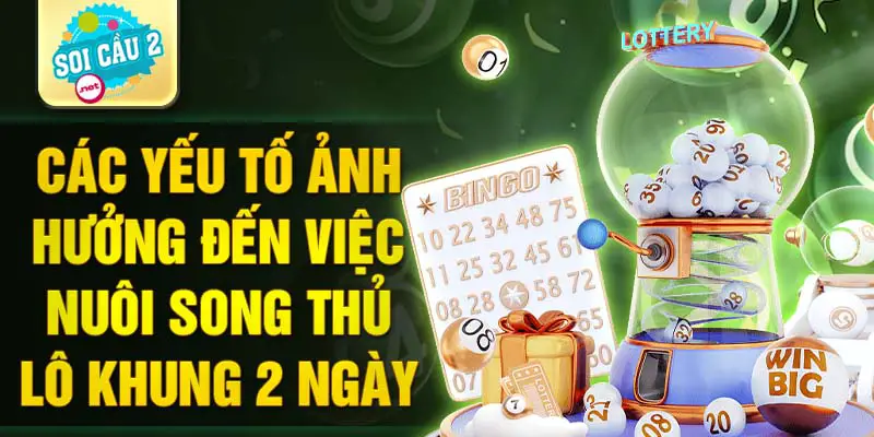 Các yếu tố ảnh hưởng đến việc nuôi song thủ lô khung 2 ngày