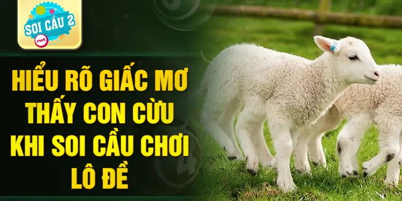 Hiểu rõ giấc mơ thấy con cừu khi soi cầu chơi lô đề